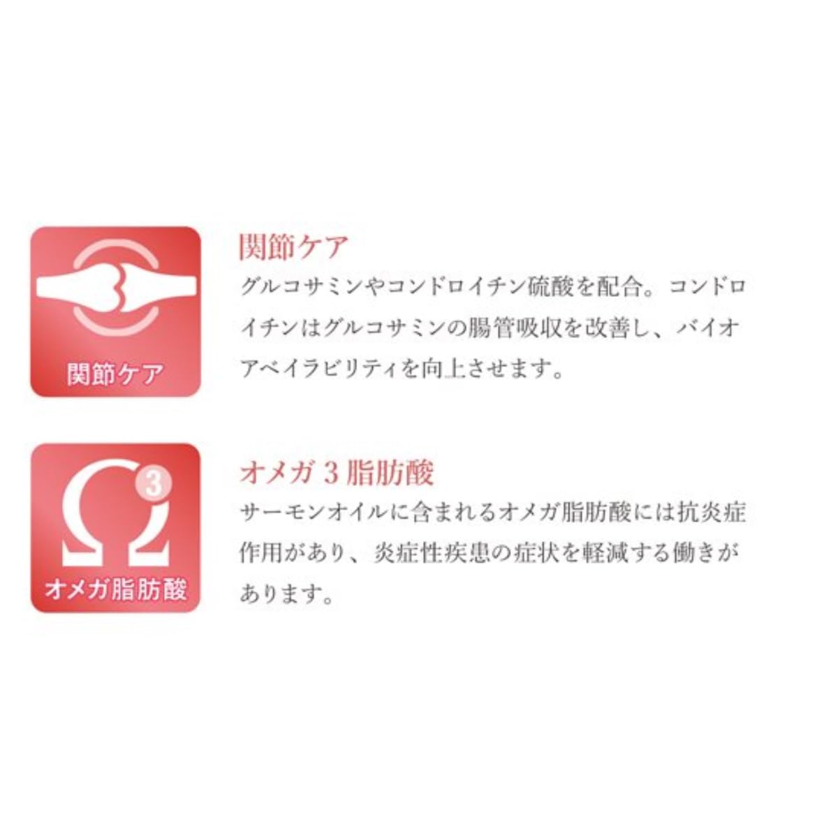 Amazon.co.jp: ベッツソリューション VetSolution Monge ドッグフード